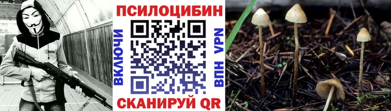 Купить где  Анива  Псилоцибиновые грибы ЛСД 
